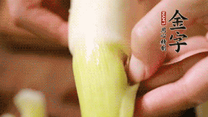 茭白剝去外殼，先切片再切絲。