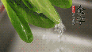 燒一鍋開水，滴一點(diǎn)油，水開后汆燙青菜至斷生即可。