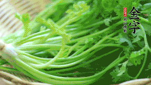 挑選鮮嫩的香菜，洗干凈后，處理成小段。