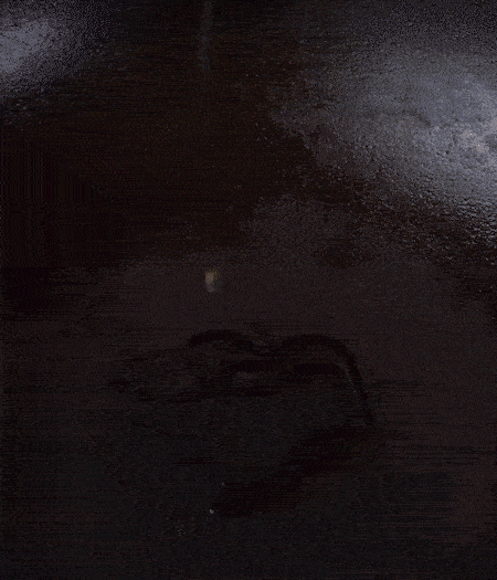 冷鍋熱油，下蒜片爆香，下香腸、玉米筍、蓮藕、西芹爆炒，期間加點(diǎn)水，翻炒1分鐘后加新鮮百合片，翻炒30秒。