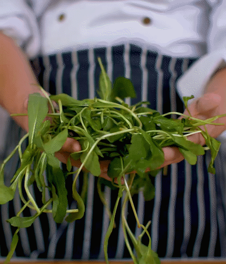 馬蘭頭焯水，切成細末。