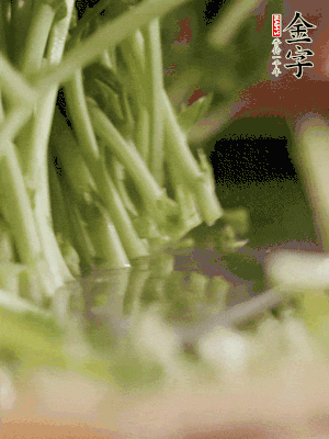 新鮮豌豆苗割下洗凈。